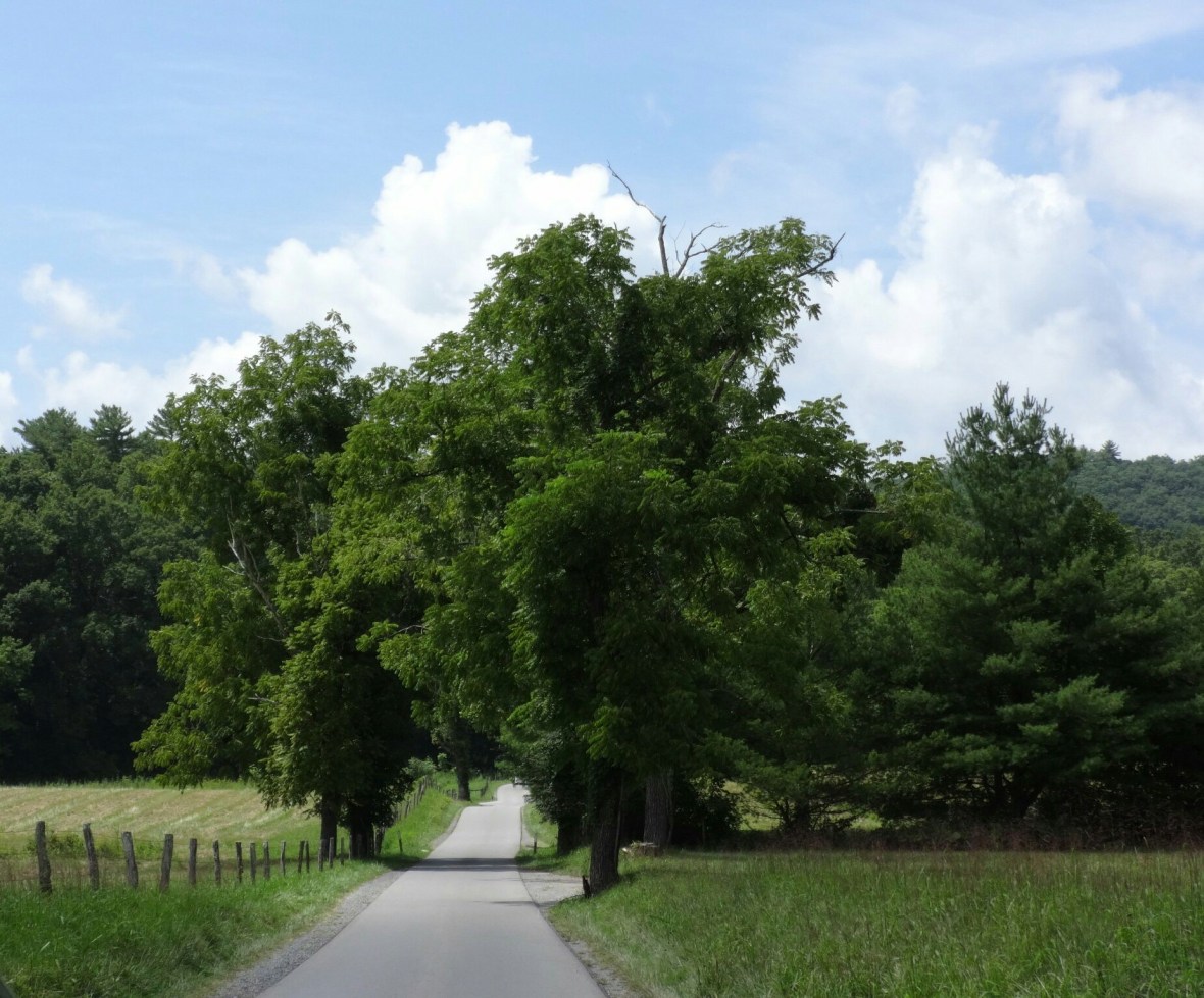 img_20190126_164544_558